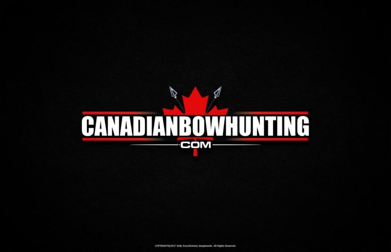 Alchemy Imageworks Brand Logo