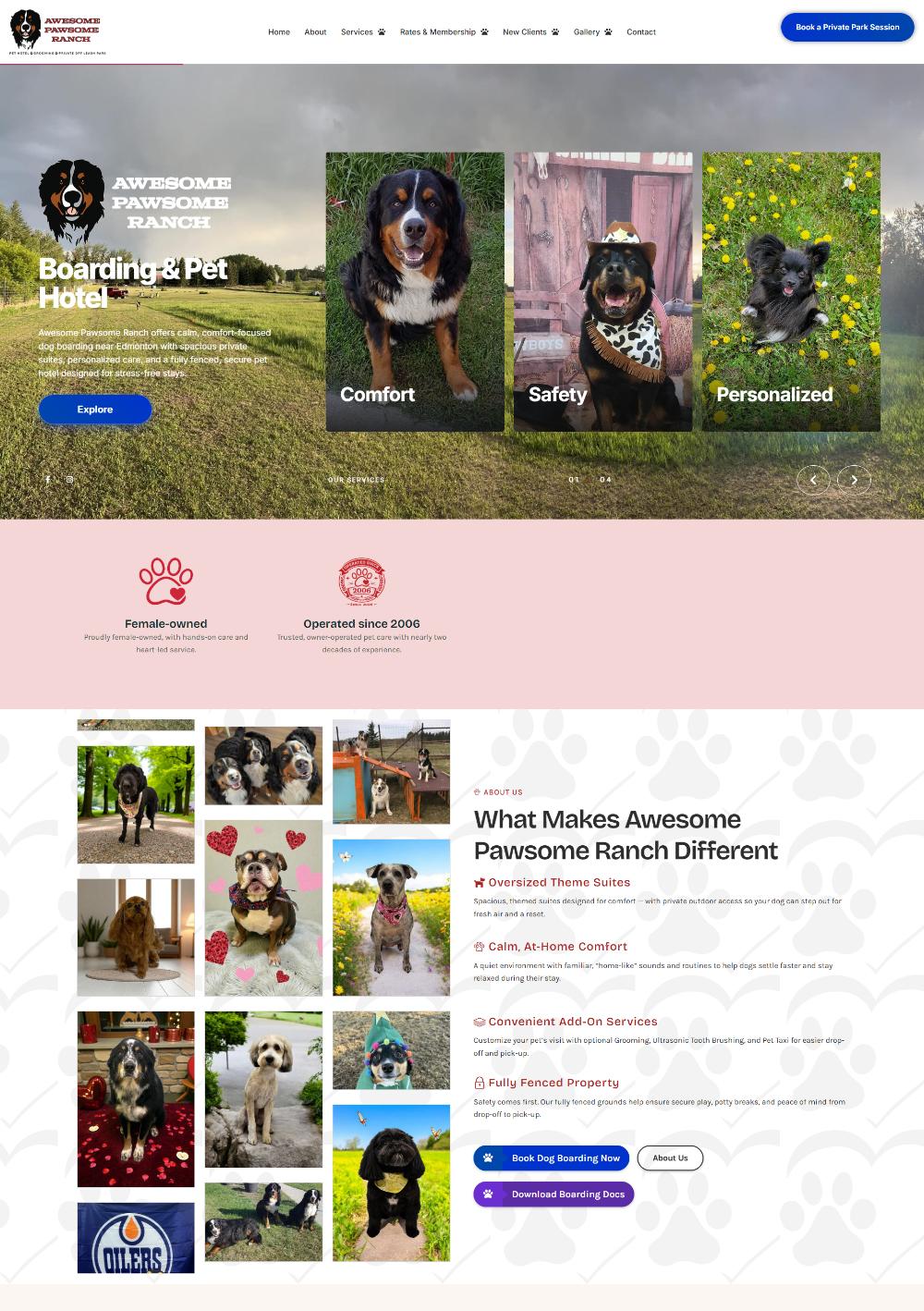 Website maintenance and performance review